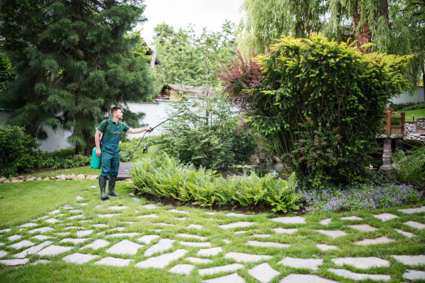 Professional Pest Control in Aspen, CO