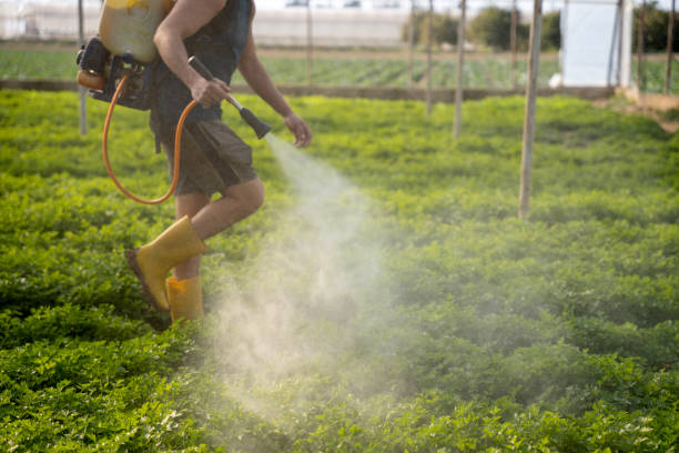 Best Affordable Pest Control Services  in Aspen, CO