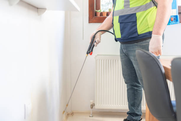 Best Termite Control Services  in Aspen, CO