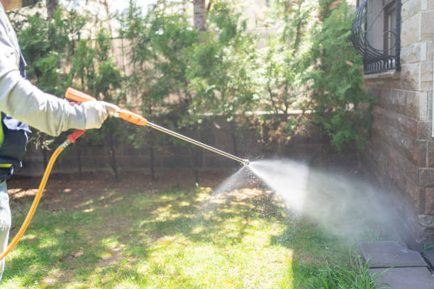 Best Pest Control Near Me in Aspen, CO