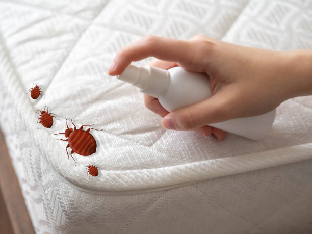 Best Commercial Pest Control Services  in Aspen, CO