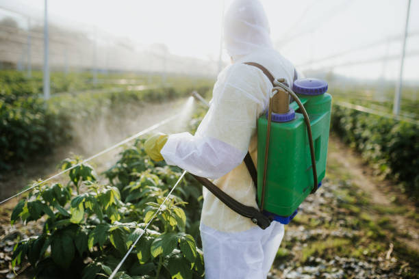 Best Emergency Pest Control  in Aspen, CO
